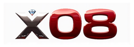 x08